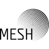 mesh